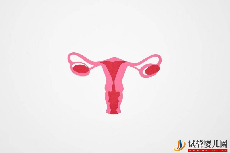 為什么她的試管嬰兒新鮮周期可以移植，而我的卻不能移植呢？ (圖2)