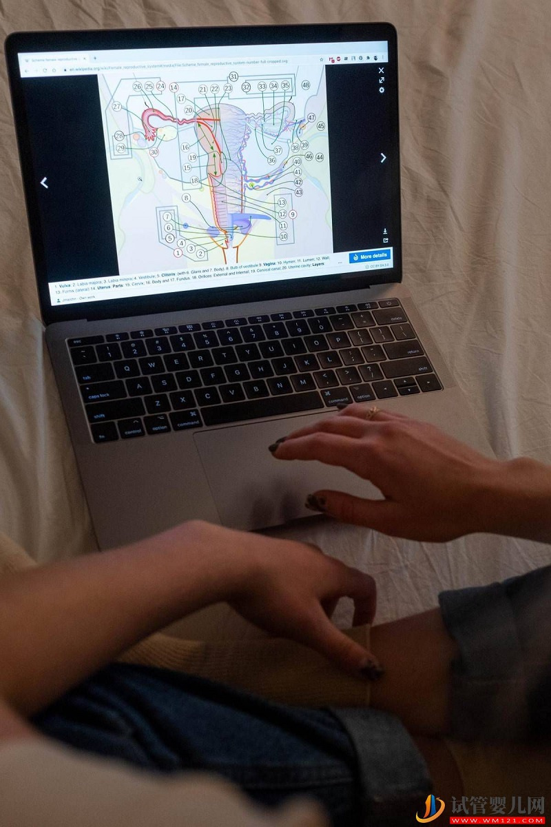 為什么她的試管嬰兒新鮮周期可以移植，而我的卻不能移植呢？ (圖4)