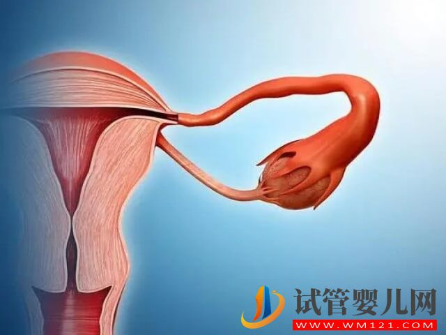 明明每次促排都成功了為什么還是懷不了孩子？(圖1)