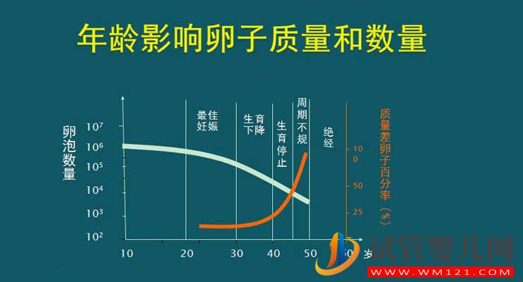 35歲試管嬰兒的成功率有多少？(圖2)