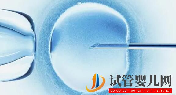 女性冷凍卵子必知7個知識(圖1)