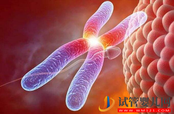 做第三代試管嬰兒要什么條件？(圖1)