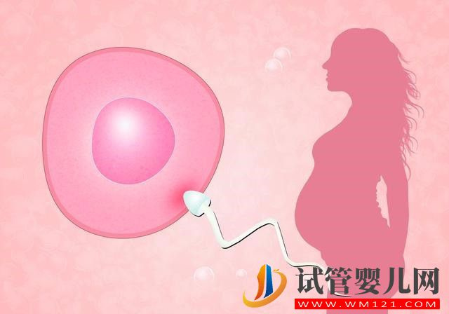 女性生育能力極限是多少歲？(圖1)