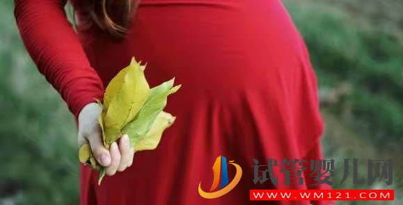 為什么會切除子宮，怎樣預防子宮疾病？(圖1)