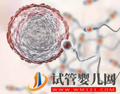 內分泌失調可以做試管嬰兒嗎？(圖1)