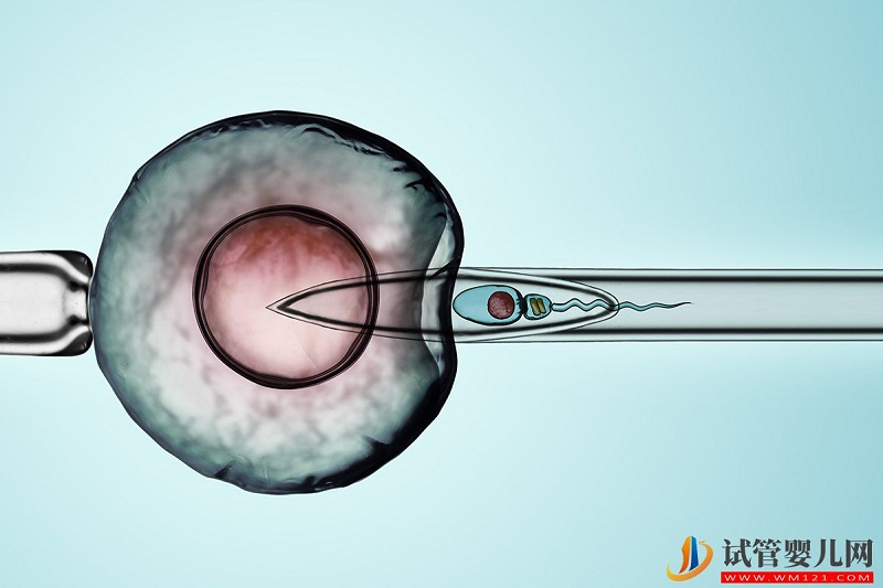 男性也有最佳生育年齡?如何讓精子質量更好?(圖1)