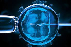 日喀則試管嬰兒取卵前男方注意事項 試管取卵前的注意事項(圖1)