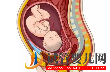 胎盤后壁男孩多還是女孩多?(圖2)