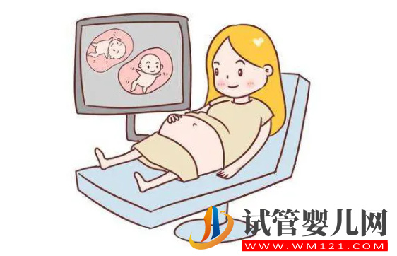 試管放2個胚胎成功高嗎(圖1)