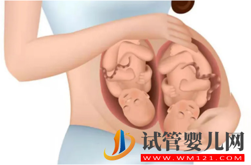 試管放2個胚胎成功高嗎(圖2)