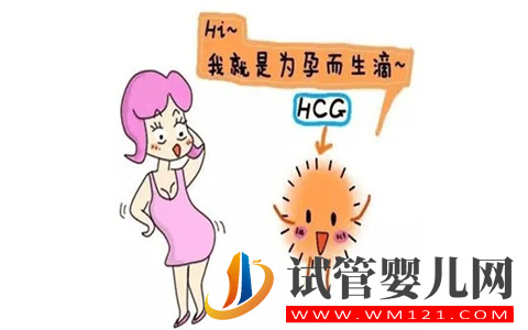 試管移植14天HCG值多少正常(圖1)