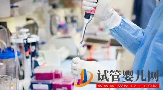 促黃體生成素偏高，這3大原因造成(圖1)