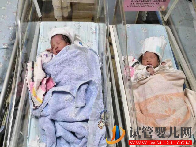 為什么大多數(shù)龍鳳胎都是姐弟而不是兄妹？(圖1)