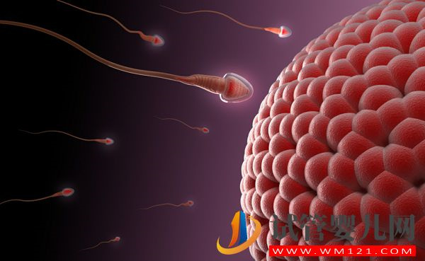 治療不育是精子庫作用之一，但想使用精子你得先申請(圖1)