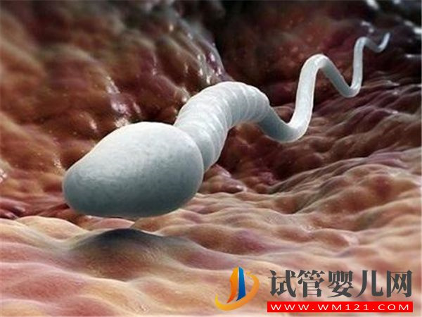 第一胎供精生了男孩二胎還可以供精嗎？(圖1)