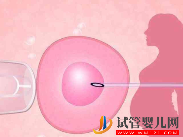 47歲絕經女性做供卵試管嬰兒能成功嗎？(圖1)