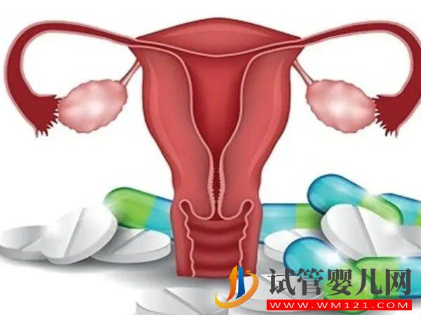 女性出現始基子宮一定就是先天性染色體問題嗎？(圖1)