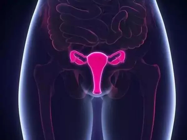 這6種食物一定要了解，促進先天性始基子宮重新發育有希望！(圖1)