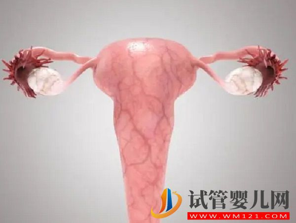 子宮腺肌癥打達(dá)菲林頻率有講究，效果好不好看看就知道(圖4)