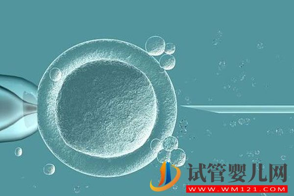 做試管嬰兒胚胎移植后的注意事項總結(圖1)