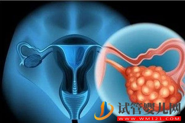 影響試管嬰兒成功率的因素總結(圖1)