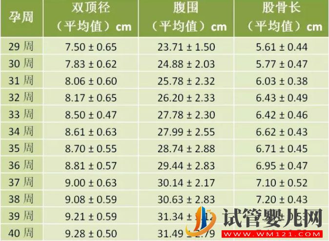 懷孕1-10月胎兒的發育標準及對照表，你知道嗎？(圖2)
