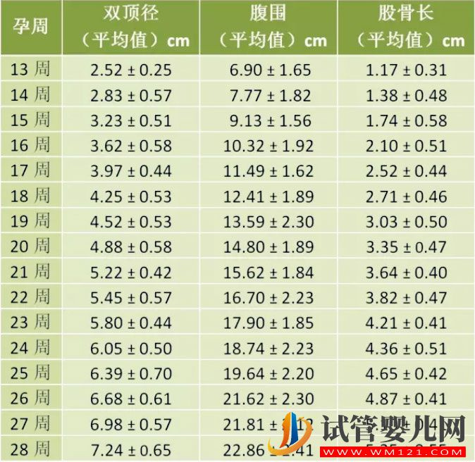 懷孕1-10月胎兒的發育標準及對照表，你知道嗎？(圖1)