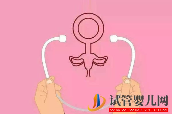 大齡、失獨家庭烏克蘭試管嬰兒多這3項常規檢查(圖5)