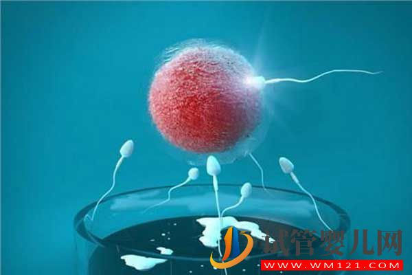 什么是試管嬰兒?從一代到四代看完你就知道了(圖3) 什么是試管嬰兒?從一代到四代看完你就知道了(圖3)