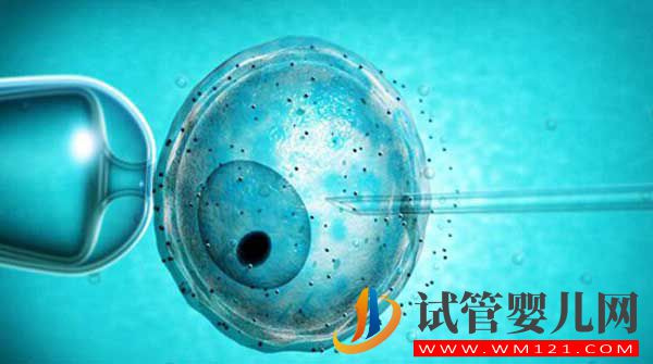 什么是試管嬰兒?從一代到四代看完你就知道了(圖4) 什么是試管嬰兒?從一代到四代看完你就知道了(圖4)