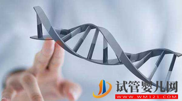 什么是試管嬰兒?從一代到四代看完你就知道了(圖6) 什么是試管嬰兒?從一代到四代看完你就知道了(圖6)