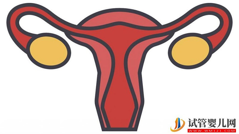 輸卵管積水做試管還能成功嗎？(圖1)