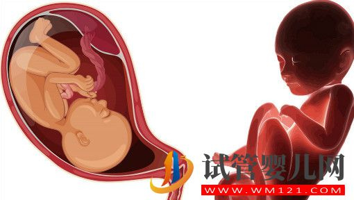胚胎質(zhì)量很好,為啥做試管嬰兒胚胎不著床?(圖1) 胚胎質(zhì)量很好,為啥做試管嬰兒胚胎不著床?(圖1)