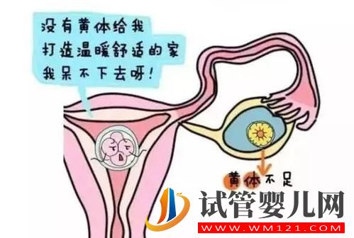 胚胎質(zhì)量很好,為啥做試管嬰兒胚胎不著床?(圖2) 胚胎質(zhì)量很好,為啥做試管嬰兒胚胎不著床?(圖2)