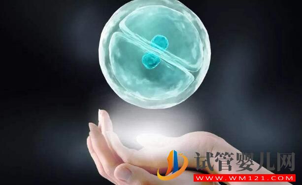 別讓情緒影響做試管嬰兒的成功率！(圖3)