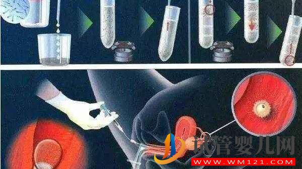 試管嬰兒鮮胚移植后要注意什么？(圖3)