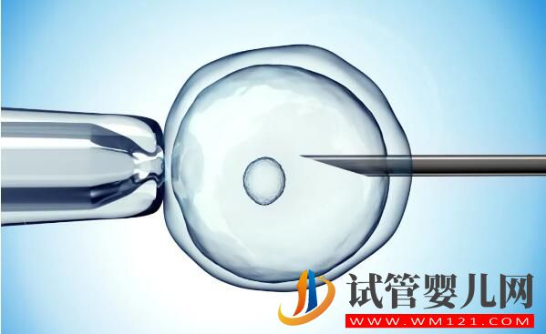 做試管嬰兒期間夫妻真的不能同房嗎？(圖5)