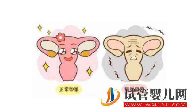 卵巢功能不好能做試管?嬰兒嗎？(圖3)