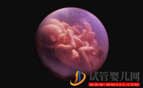 試管雙胞胎幾率有多大？醫(yī)生：比自然懷雙胞胎大的多(圖1)
