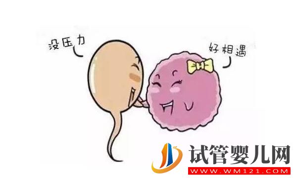 做試管嬰兒前需要怎么調理身體？(圖1)