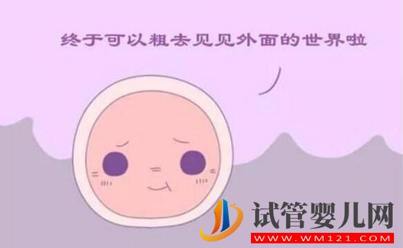 試管卵子質量不好怎么辦？(圖2)