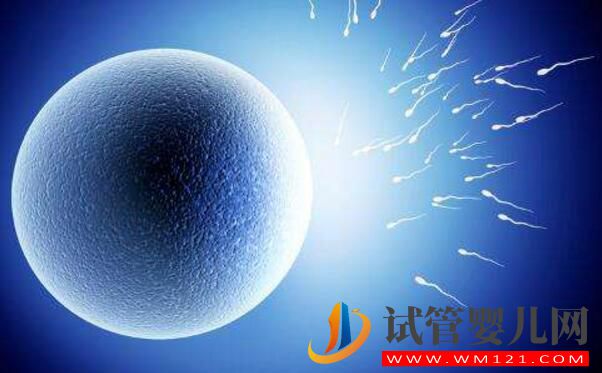 試管卵子質量不好怎么辦？(圖3)