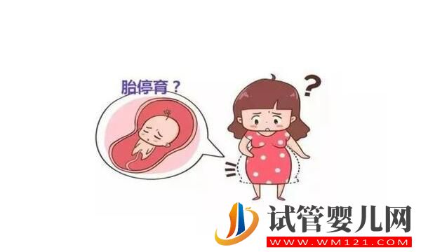 胎停育后能再次懷孕嗎？(圖1)