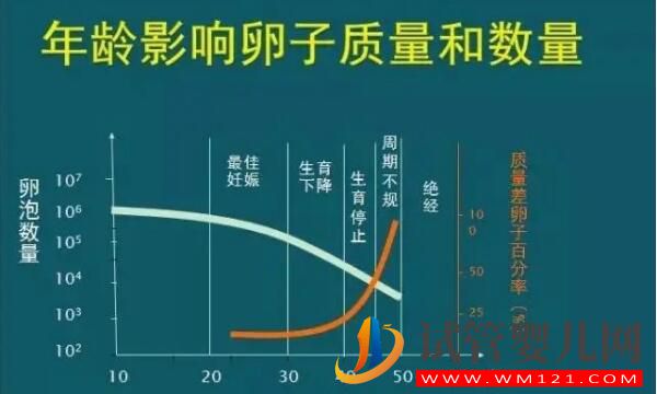 fsh值35偏高能否做試管嬰兒，做好這三點很重要，你也來試試！(圖1)