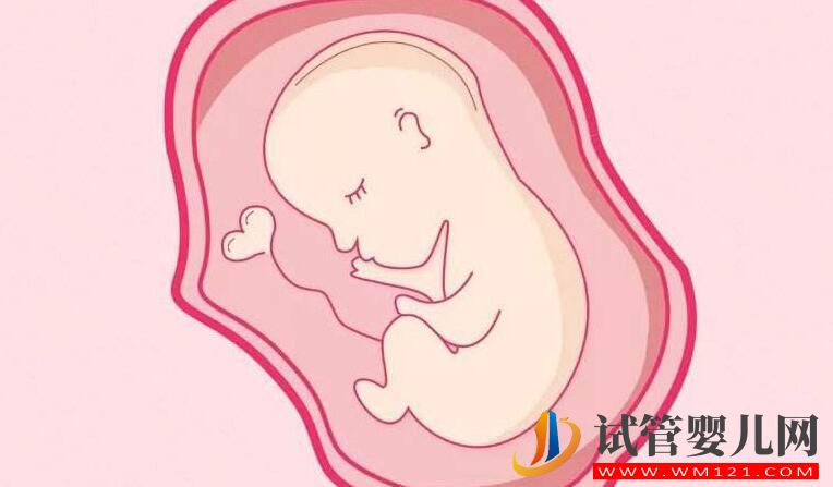 雙側輸卵管堵塞怎么辦？別擔心，試管手術幫你圓懷孕夢!看看怎么做的(圖2)