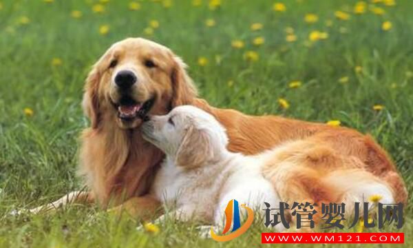 做試管發生卵巢刺激綜合征怎么辦？(圖3)