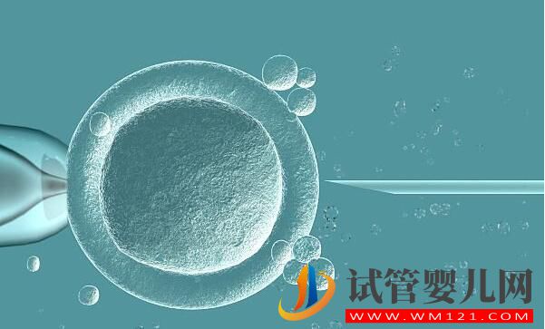 做試管促排方案不會選？(圖6)