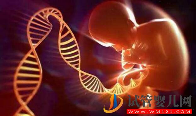 不能生育你會選擇做試管嬰兒還是領養孩子呢？(圖2)