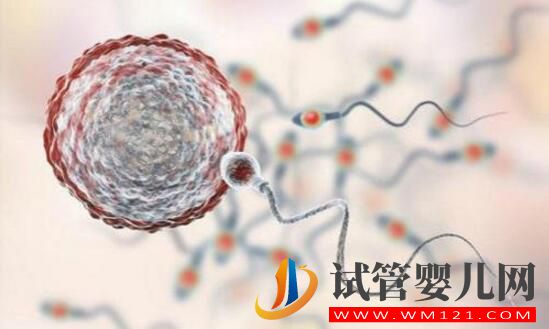 做完試管嬰兒后怎么判斷是否懷孕？(圖2)