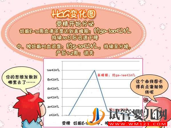 HCG對準媽媽有哪些作用？(圖3)